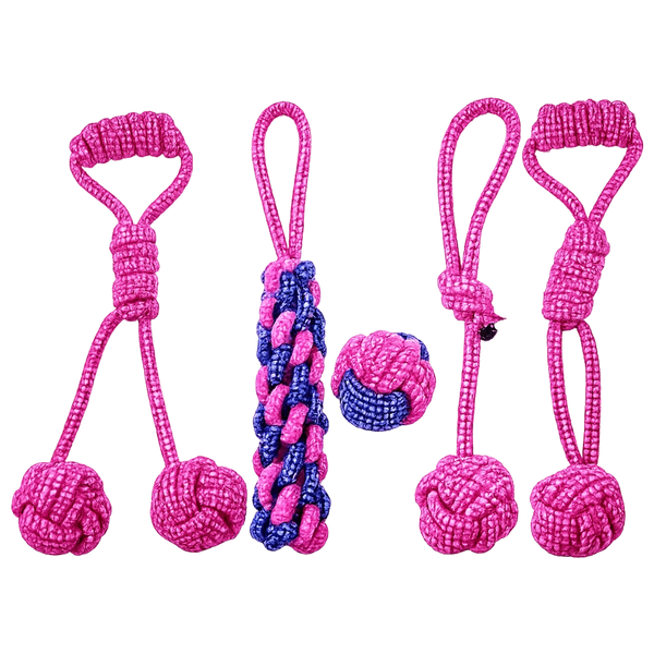 The Pink Pack five-piece pink rope dog toy set