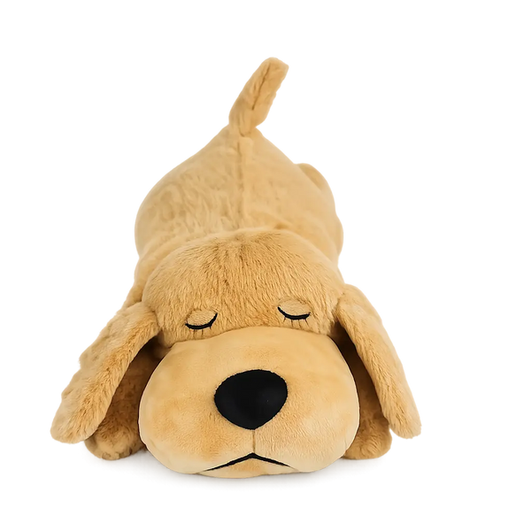 Biscuit