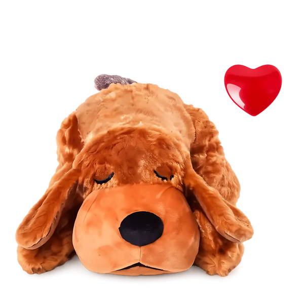 Bruno Jr