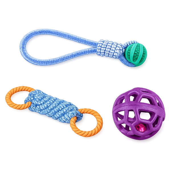 The Power Chewer Kit